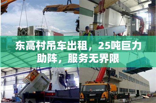 东高村吊车出租，25吨巨力助阵，服务无界限