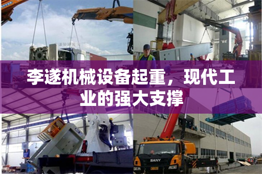 李遂机械设备起重，现代工业的强大支撑