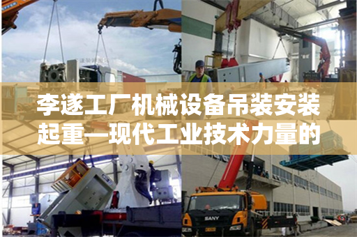 李遂工厂机械设备吊装安装起重—现代工业技术力量的展示