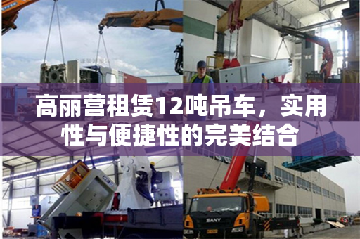 高丽营租赁12吨吊车，实用性与便捷性的完美结合